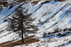 Champlas Janvier (To) - dicembre 2011
