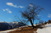 Champlas Janvier (To) - dicembre 2011