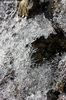 Champlas Janvier (To) - dicembre 2011
