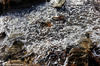 Champlas Janvier (To) - dicembre 2011