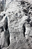 Glacier Blanc, Pelvoux (France) - agosto 2013