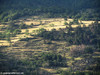 Sentiero dei Franchi, Salbertrand (To) - agosto 2010