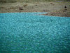 Lac de Beraud, Nevache - agosto 2010