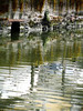 Naviglio Grande - aprile 2011