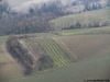 Rocca Susella (Pv) fraz. Gaminara - marzo 2011