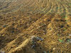 Godiasco (Pv) - marzo 2011