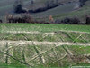 Rocca Susella (Pv) fraz. Gaminara - marzo 2011