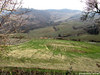 Rocca Susella (Pv) fraz. Gaminara - marzo 2011