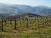 Colline in Fortunago (Pv) - marzo 2011