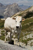 Pratorotondo, Preit (Cn) - agosto 2007
