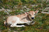 Pratorotondo, Preit (Cn) - agosto 2007